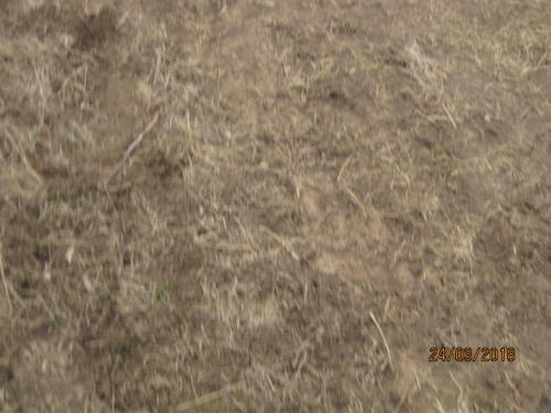 IMG 5682